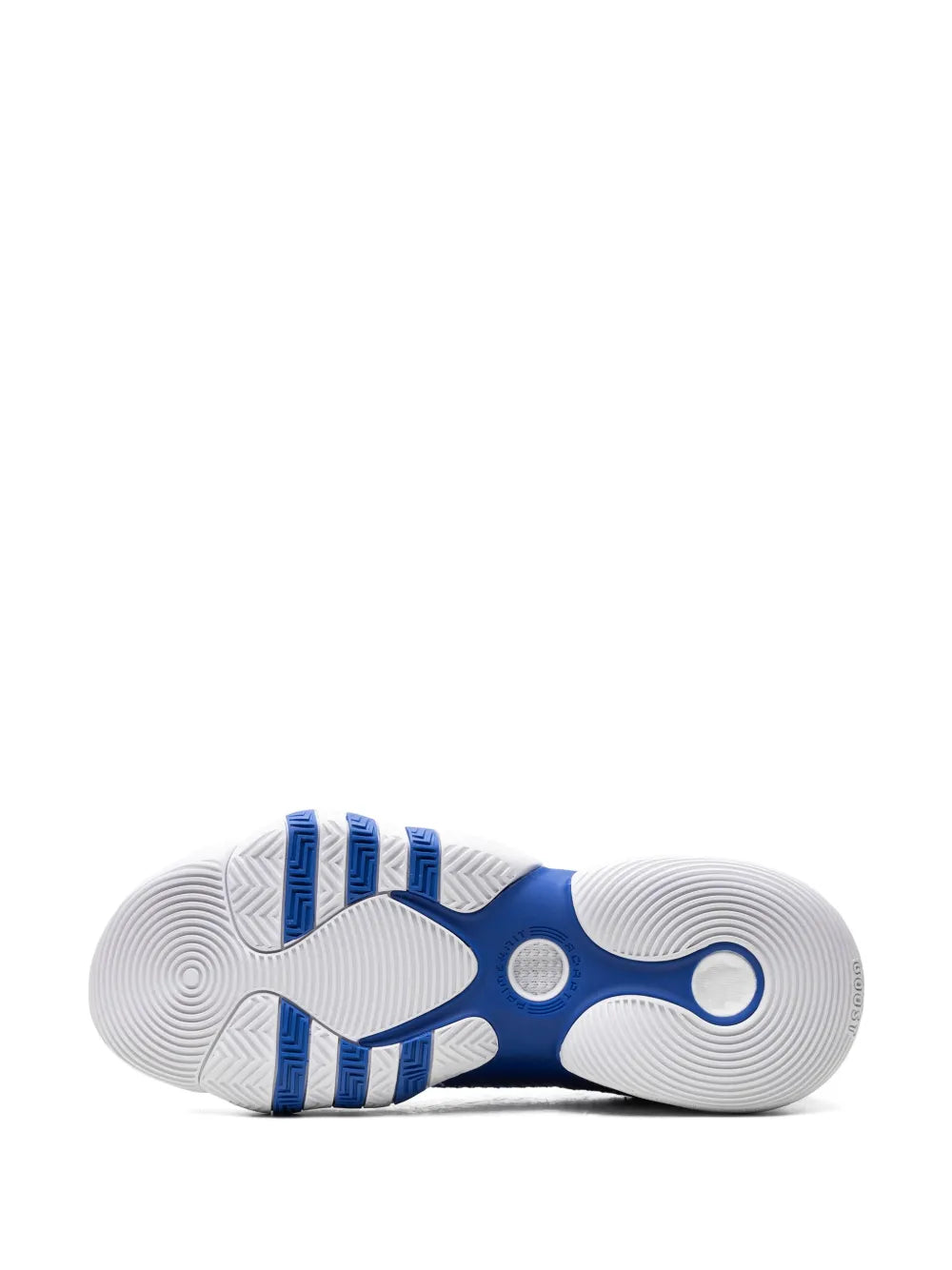 Trae Young 2.0 Royal Blue Sneakers